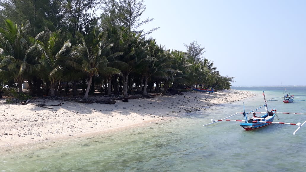 Pulau Tikus 1