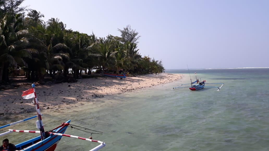 Pulau Tikus