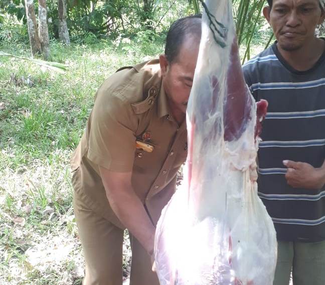 Cuci Kampung