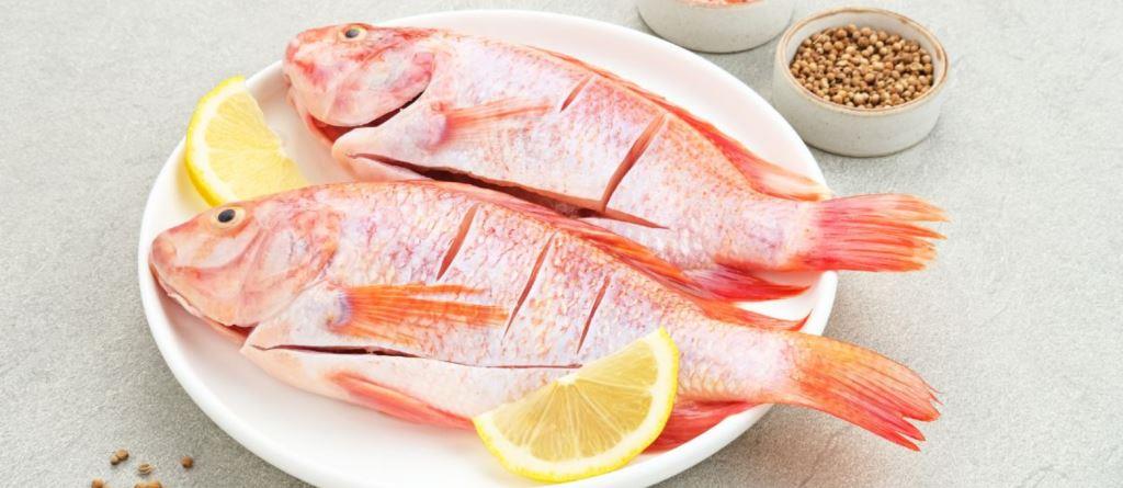 ikan