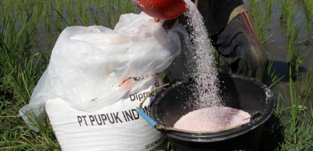 pupuk