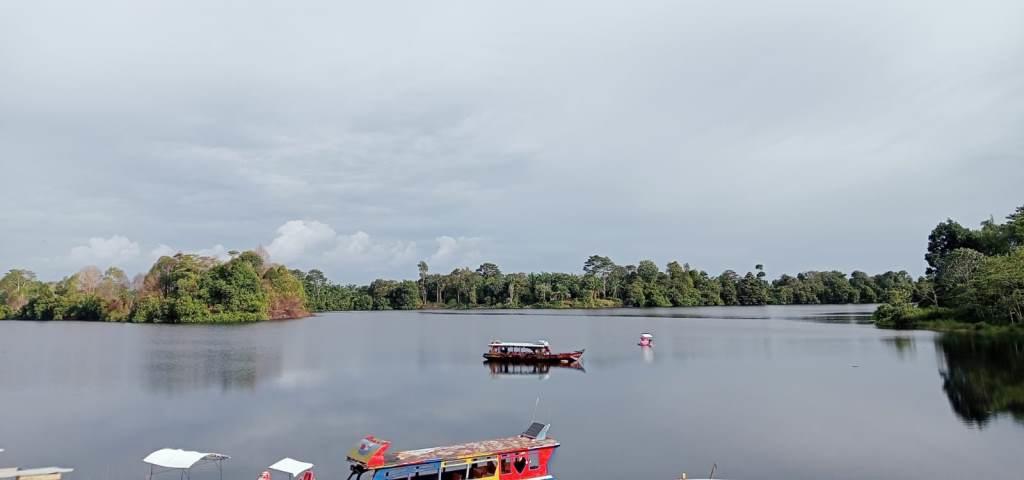 disparpora mukomuko